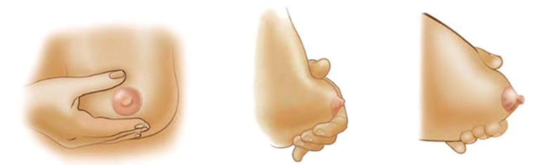 Images of how to hold a hand on a breast when expressing breast milk/colostrum.