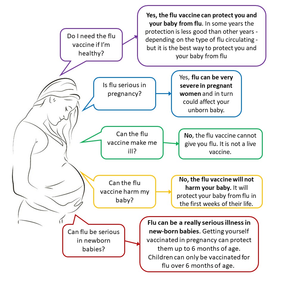 Diagram of pregnant woman and different questions about the flu vaccine. All questions are covered later in the webpage copy.