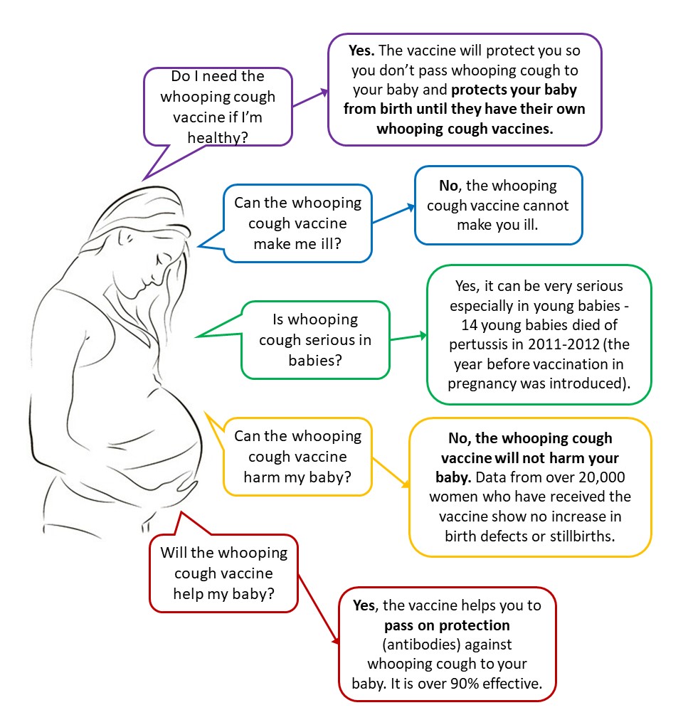 Diagram of pregnant woman and different questions about whooping cough - all items are captured later on the webpage