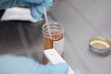 Image of a pipette being inserted into a test tube that contains a dark liquid.